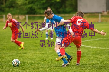 哪个频道可以看德甲直播回放？哪里能看德甲录像回放